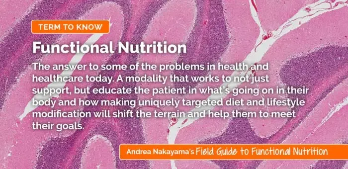 What is Functional Nutrition? Everything You Need to Know - Blog Image